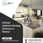 Kitchen Cabinet Painting Services in Radnor